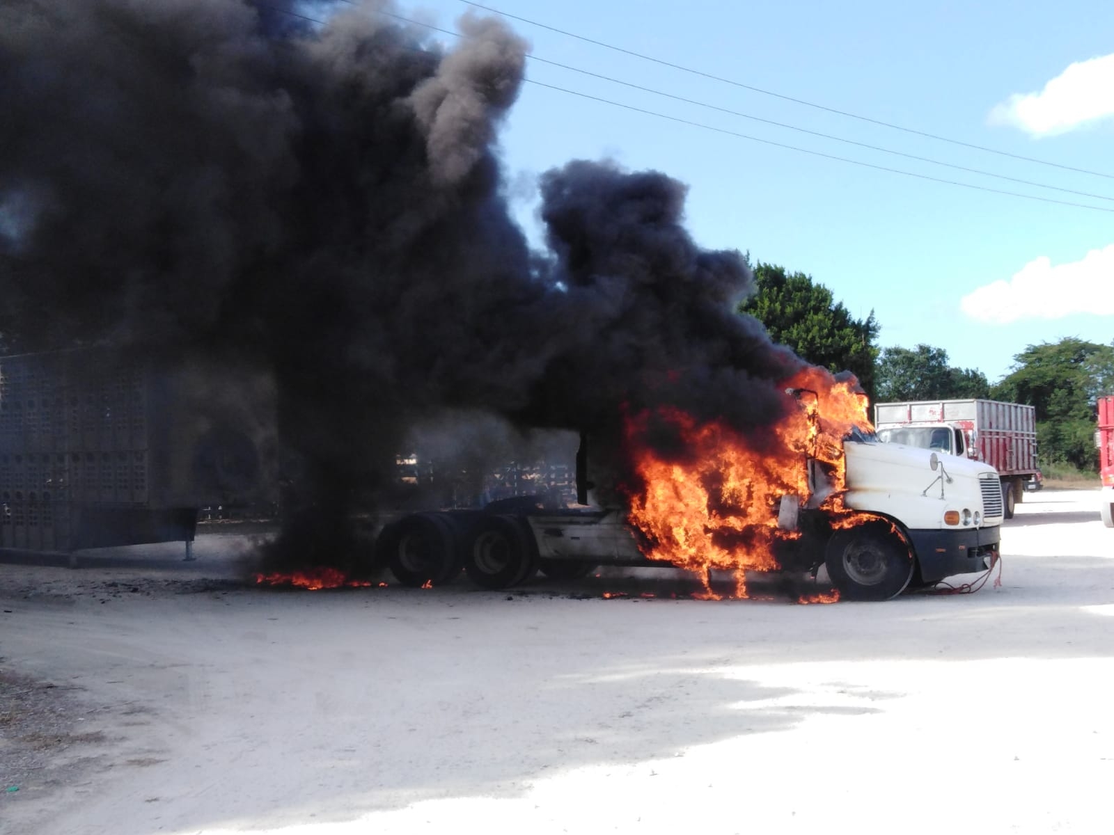 Se incendia tráiler que transporta ganado en Buctzotz, Yucatán: VIDEO