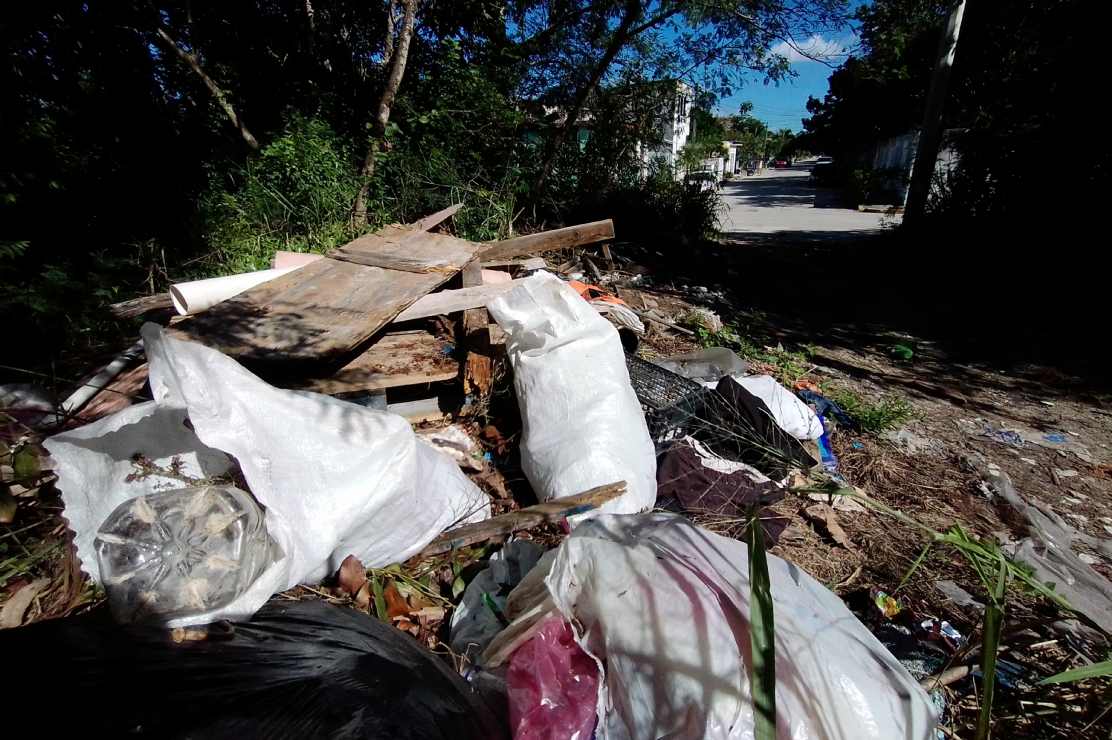 Parques públicos de Puerto Morelos, convertidos en basureros por falta de limpieza