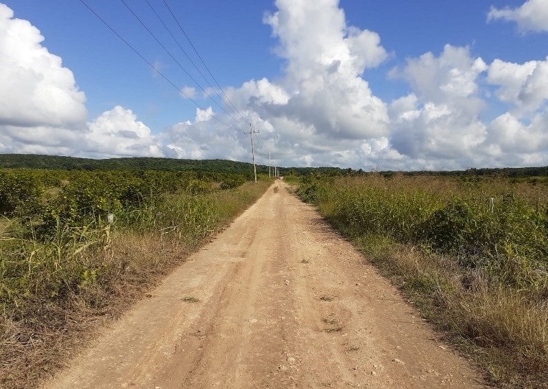 Ciudadanos de José María Morelos piden construir carretera a Campeche