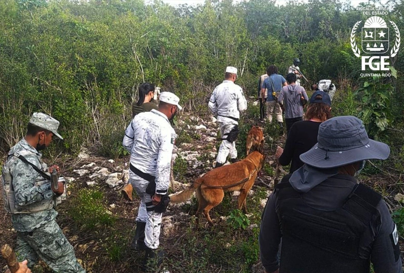 Ejército, policías y familiares buscan a una persona desaparecida en Puerto Morelos