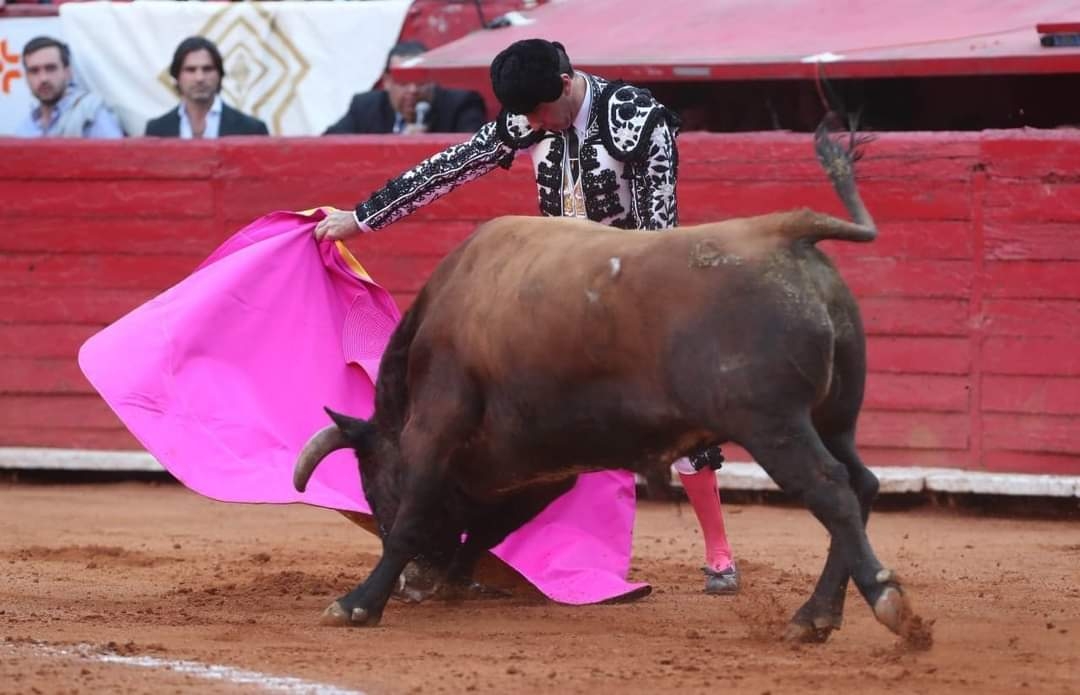 Cozumel busca eliminar corridas de toros y atracciones que involucren el maltrato animal
