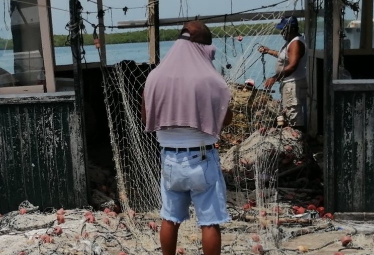 Pescadores atraviesan por una mala racha y en las últimas semanas han tenido baja captura
