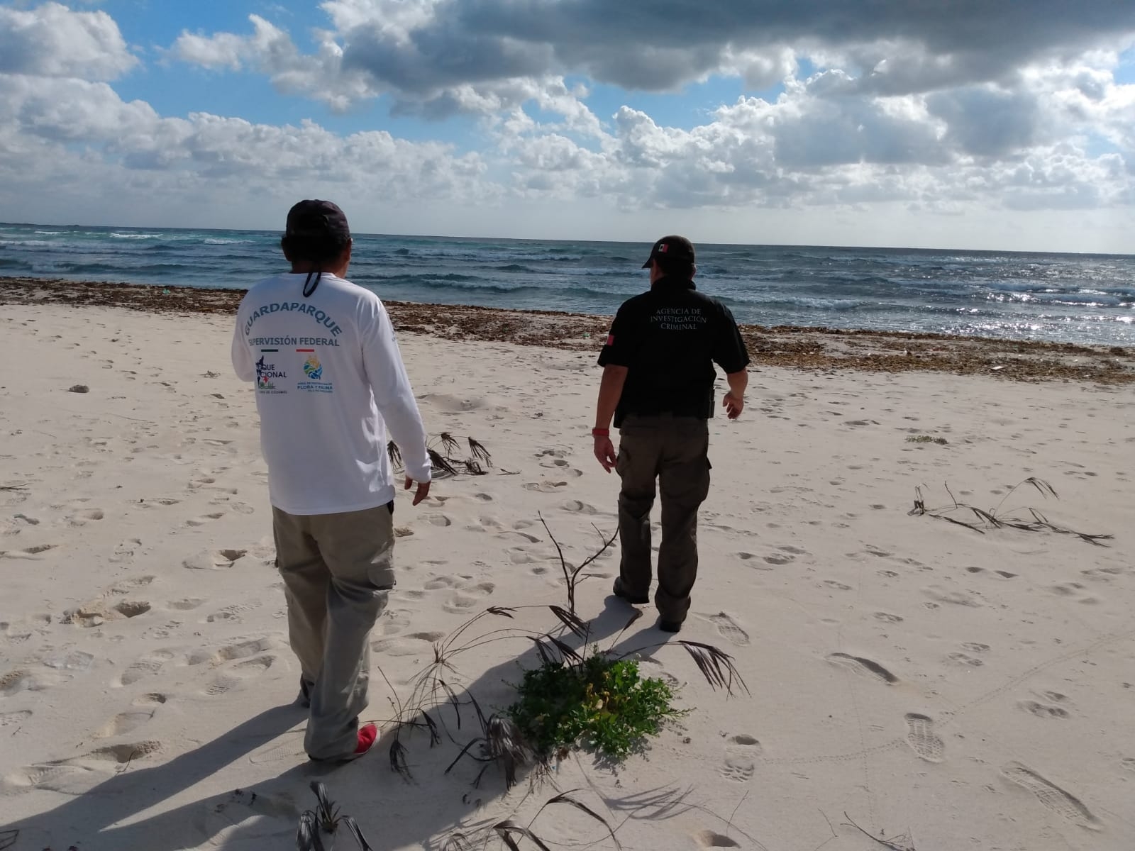 FGR investiga daño en dunas de un área protegida de Cozumel por construcción