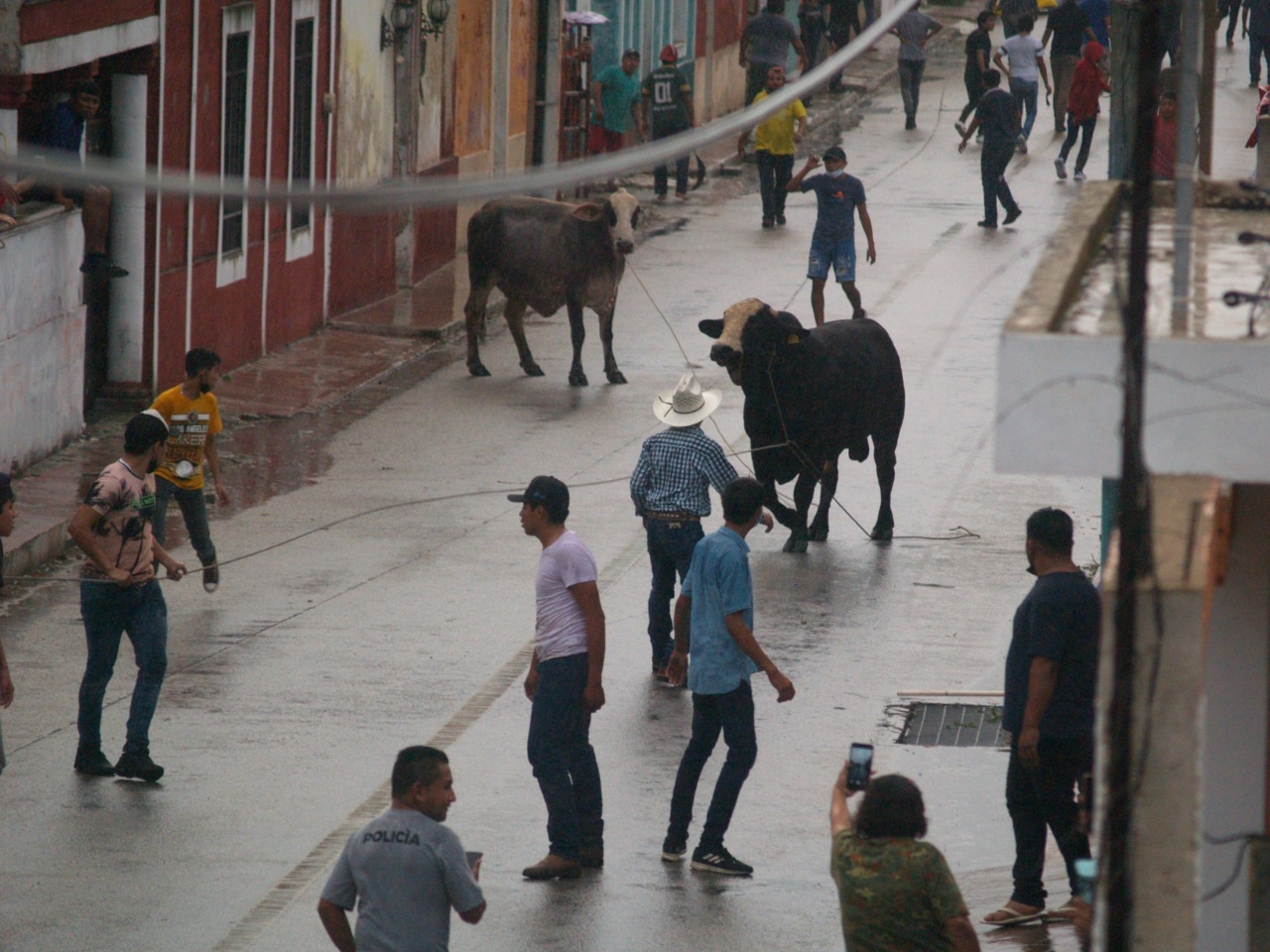 Los participantes del evento corrieron detrás de los toros