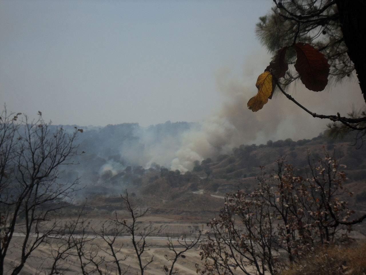 FGE de Jalisco condena a bombero por incendiar 42 hectáreas del Bosque de la Primavera