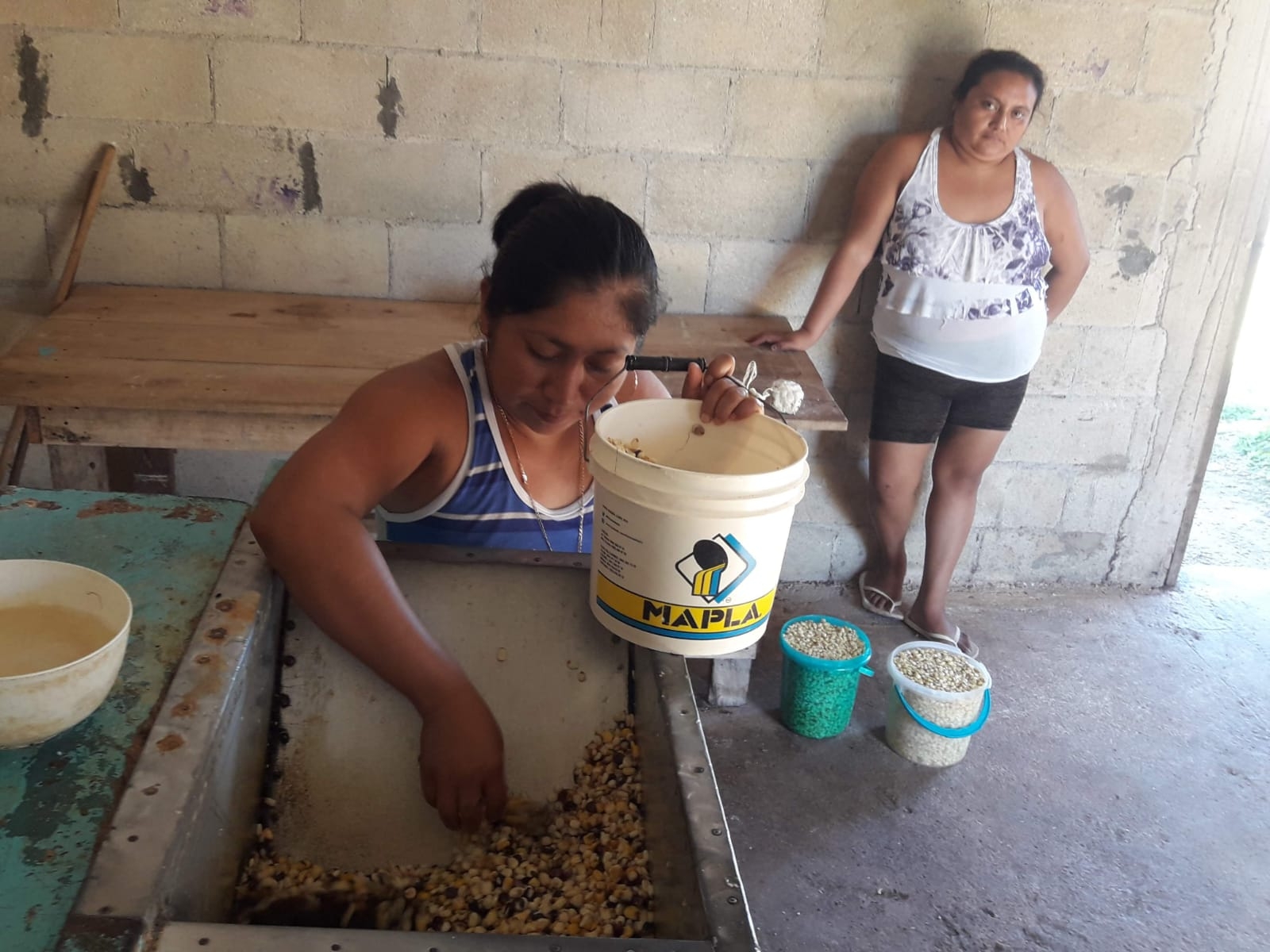 Sin previo aviso, aumenta en 40% costo del costal de maíz en Felipe Carrillo Puerto