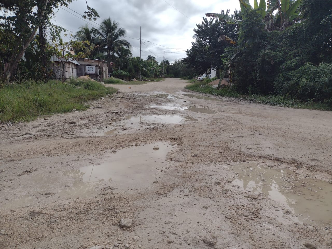 Estas condiciones perjudican severamente a las familias que viven en esta zona de Felipe Carrillo Puerto