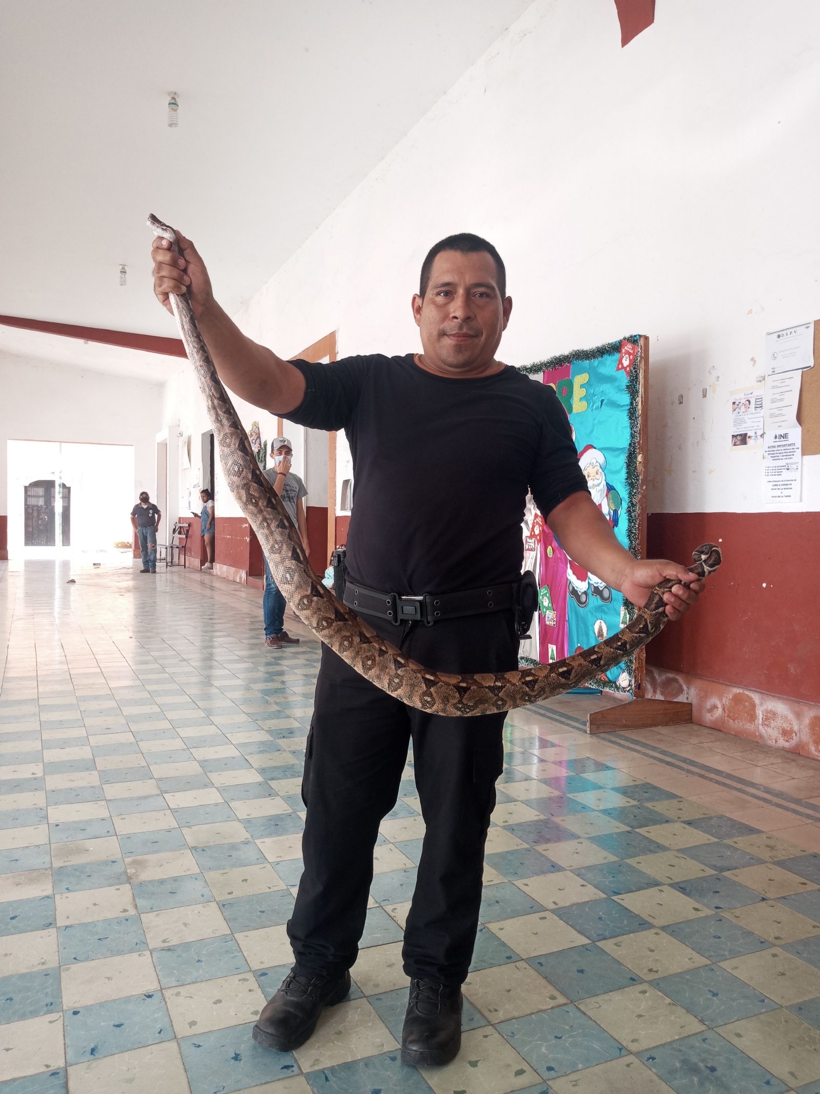 El reptil medía más de metro y medio y pesaba aproximadamente cuatro kilos