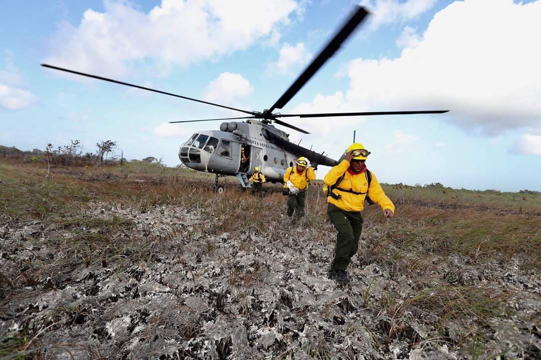Sequía pone en peligro a más de 400 mil hectáreas de selva entre Quintana Roo y Campeche