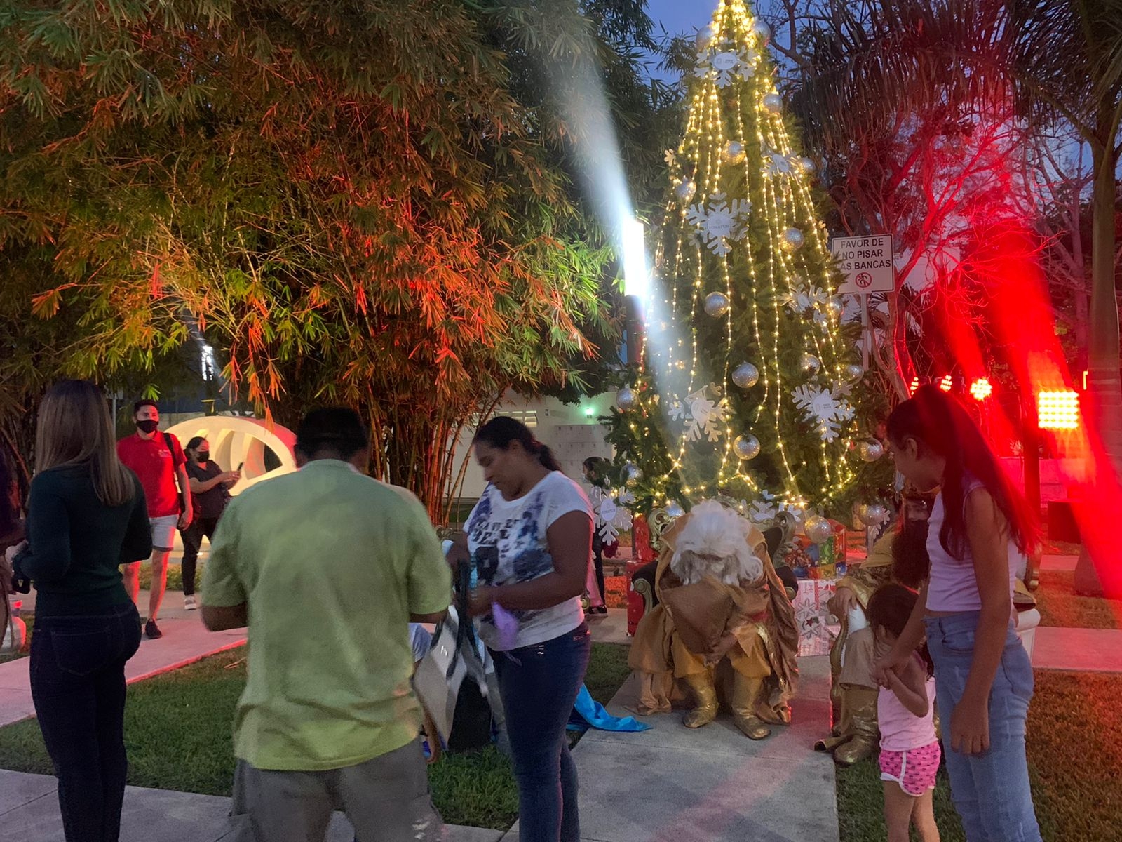 Fonatur enciende árbol navideño en la Zona Hotelera de Cancún: VIDEO
