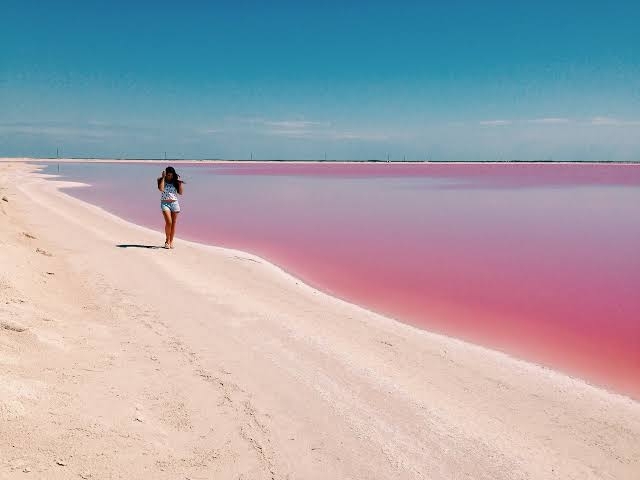 Las coloradas, espectáculo color de rosa increíble en Yucatán