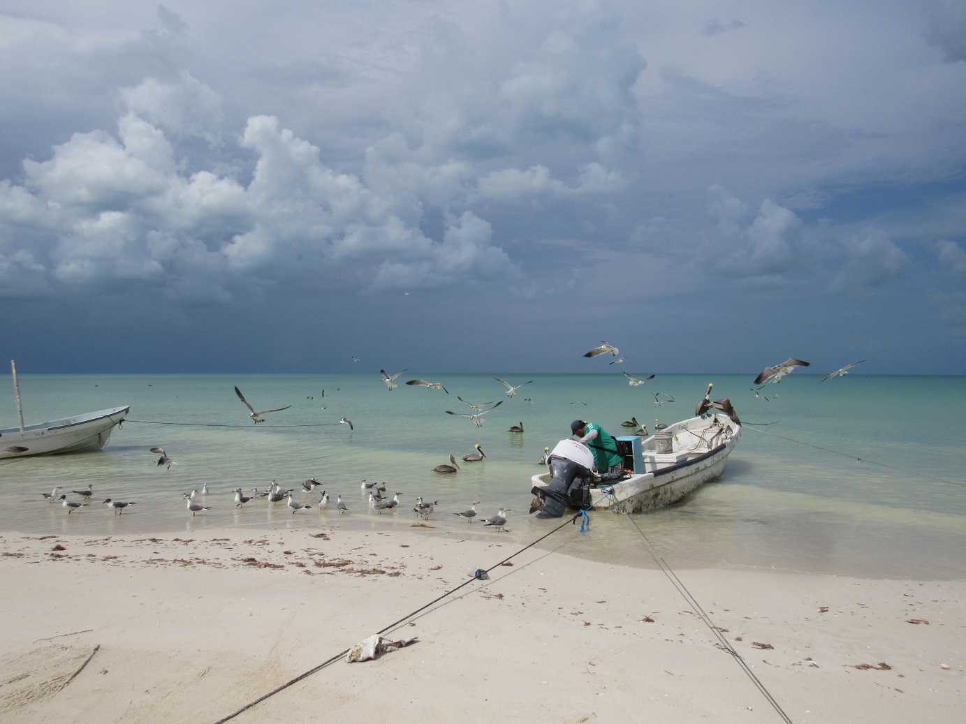 Se forma Alex frente a las costas de Yucatán; es la primera Tormenta Tropical de la temporada