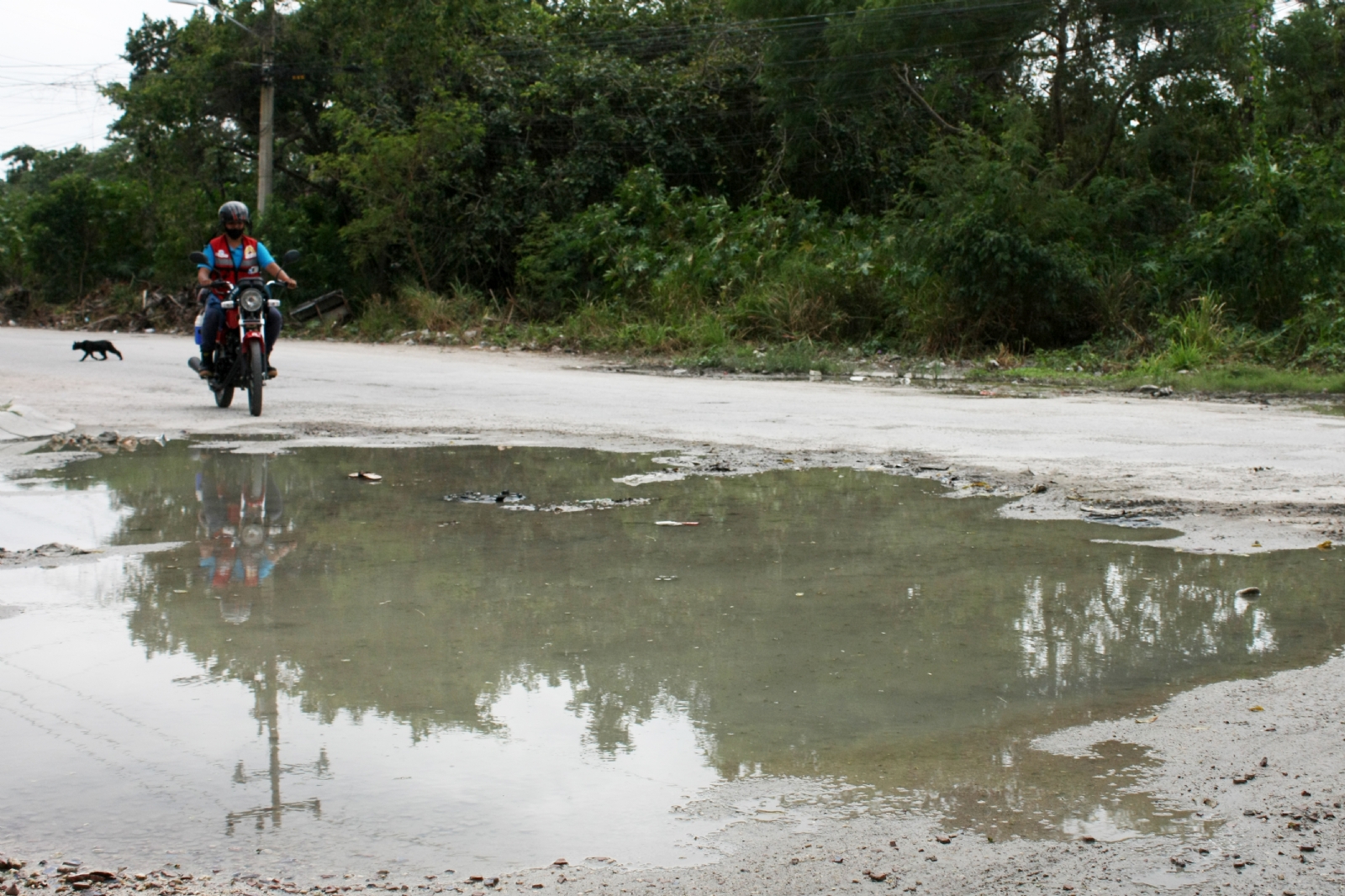 Se 'ahoga' en aguas negras el fraccionamiento 'La Selva' en Cancún