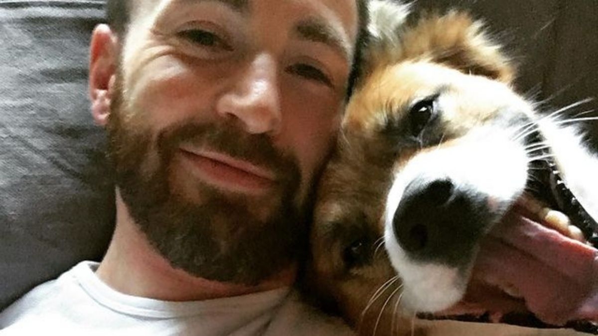 Chris Evans hace un tierno acto de amor por su perro