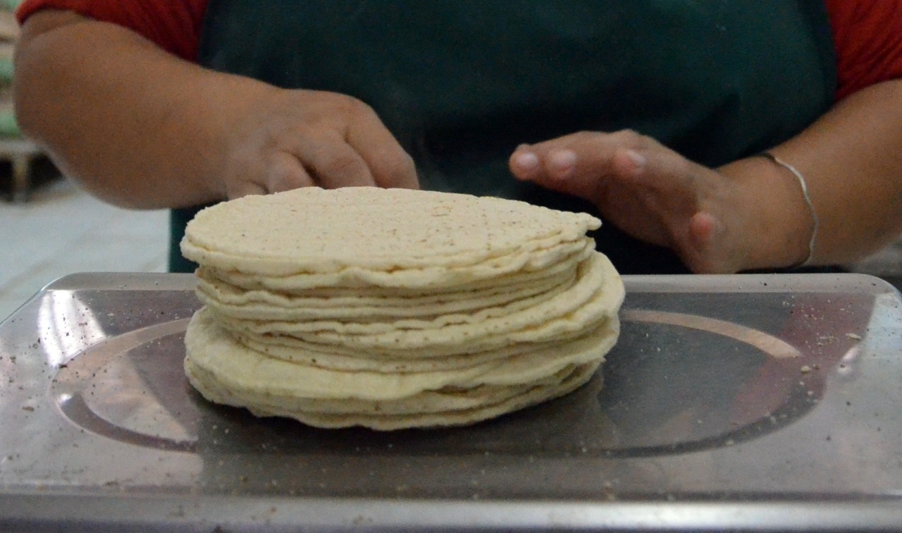 Venta de tortilla disminuye un 20% en Campeche tras ajuste de precios
