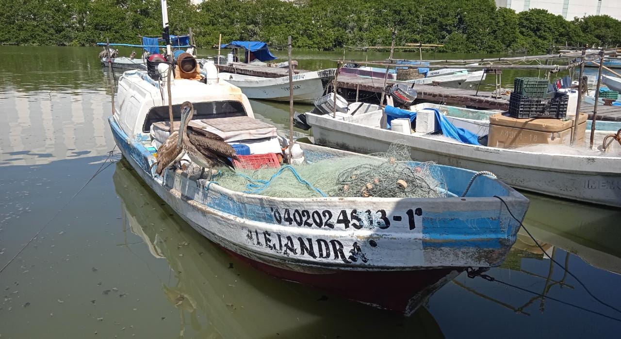 Frente Frío deja sin ventas y producción a pescadores de Campeche