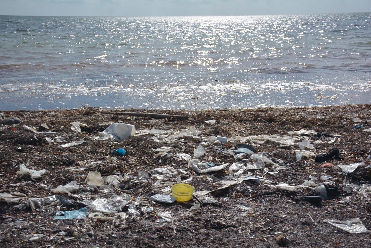 Recalan grandes cantidades de basura en Playa Coral de Cancún