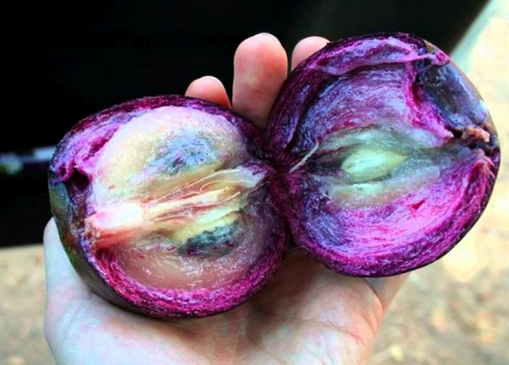 Seis frutas exóticas para probar en Yucatán