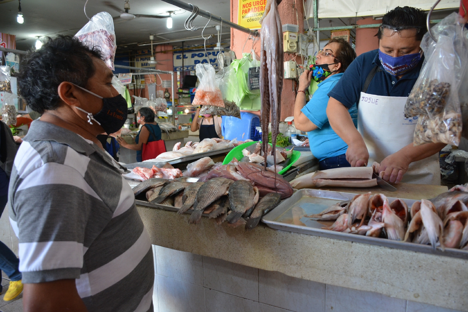 Informe 'Gato por Liebre': Así engañan comerciantes de Cancún a compradores de pescado