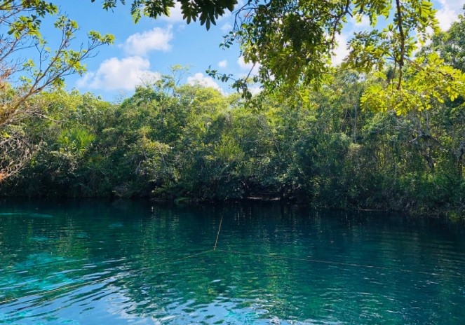 Cenote 'Carwash', buceo y agua cristalina en Tulum