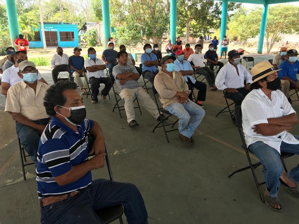 Especialista en apicultura imparte curso a productores de miel en Quintana Roo