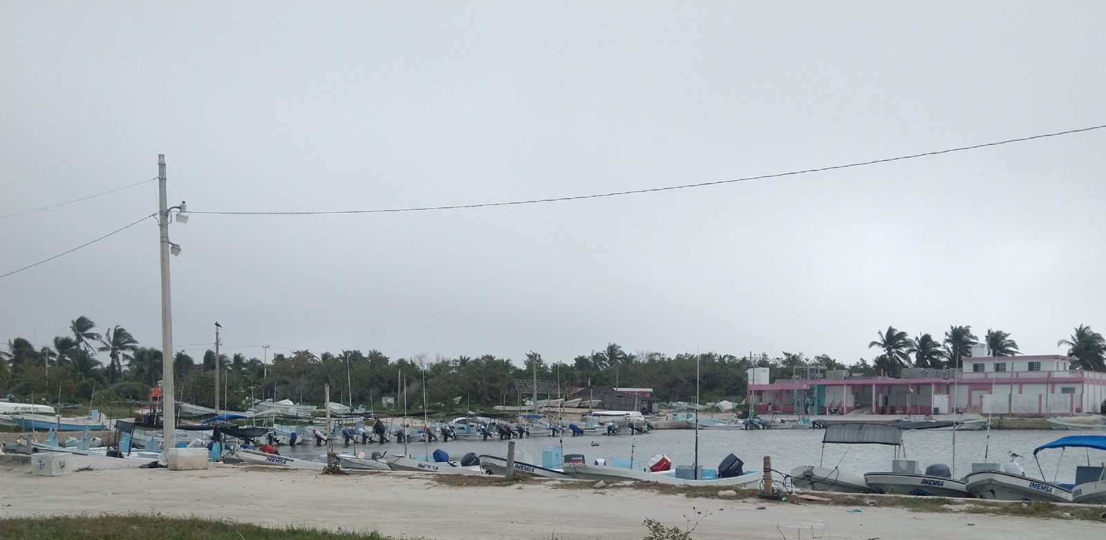 Pepino de mar 'desaparece' en las aguas de El Cuyo, Yucatán denuncian
