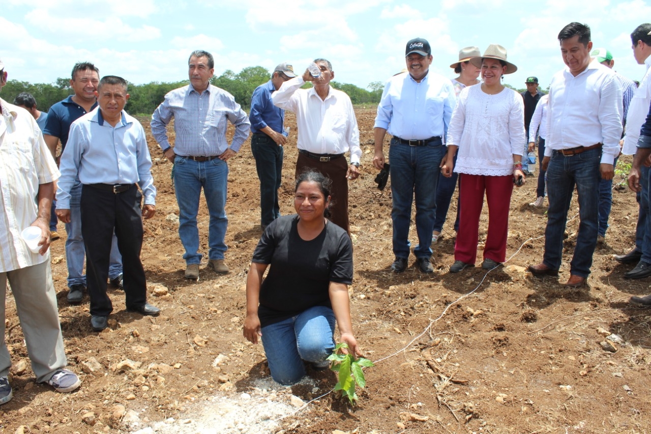 Un grupo de campesinos se queja del maltrato por parte de los inspectores del programa federal “Sembrando Vida”