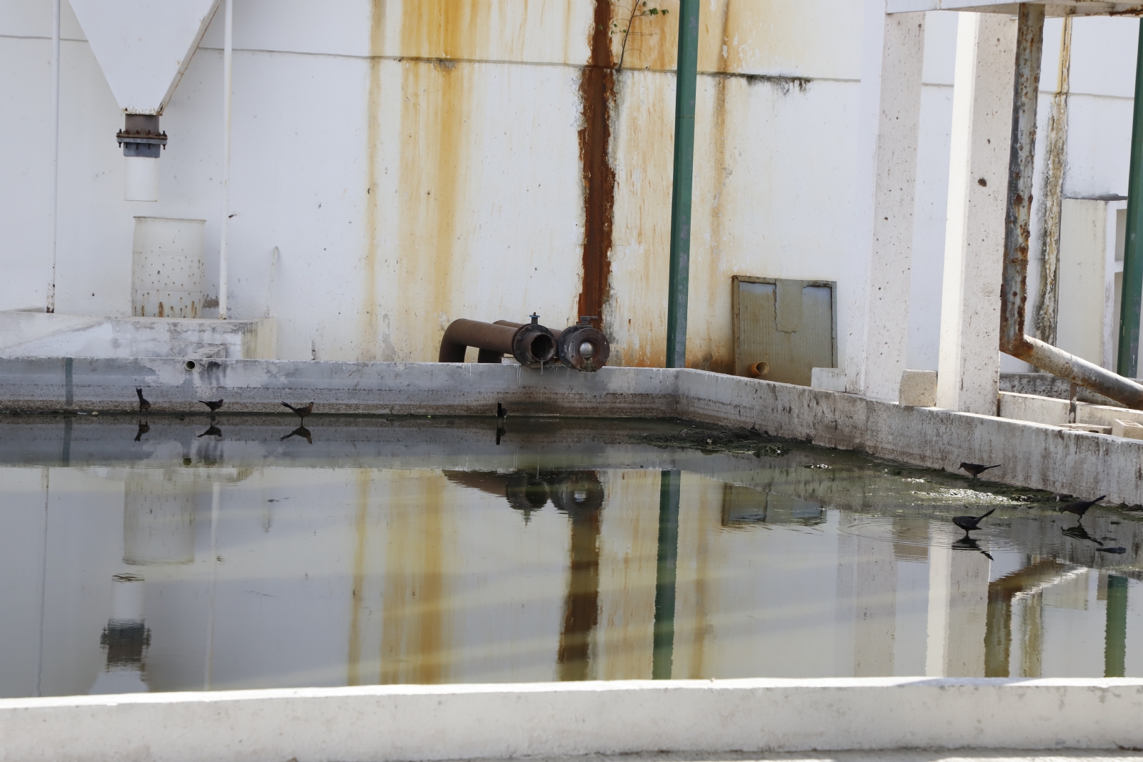 COVID-19 podría mezclarse con agua subterránea en Yucatán: Especialista