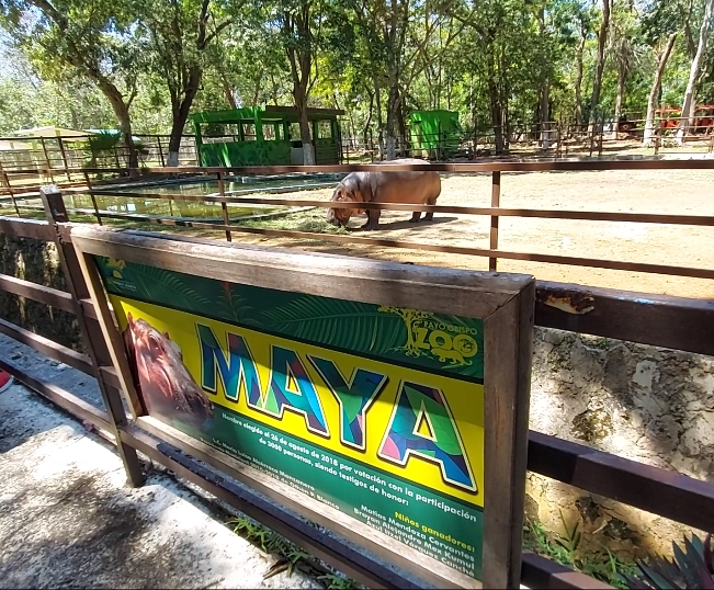 Jardín Zoológico Payo Obispo, un centro recreativo y educacional en Chetumal