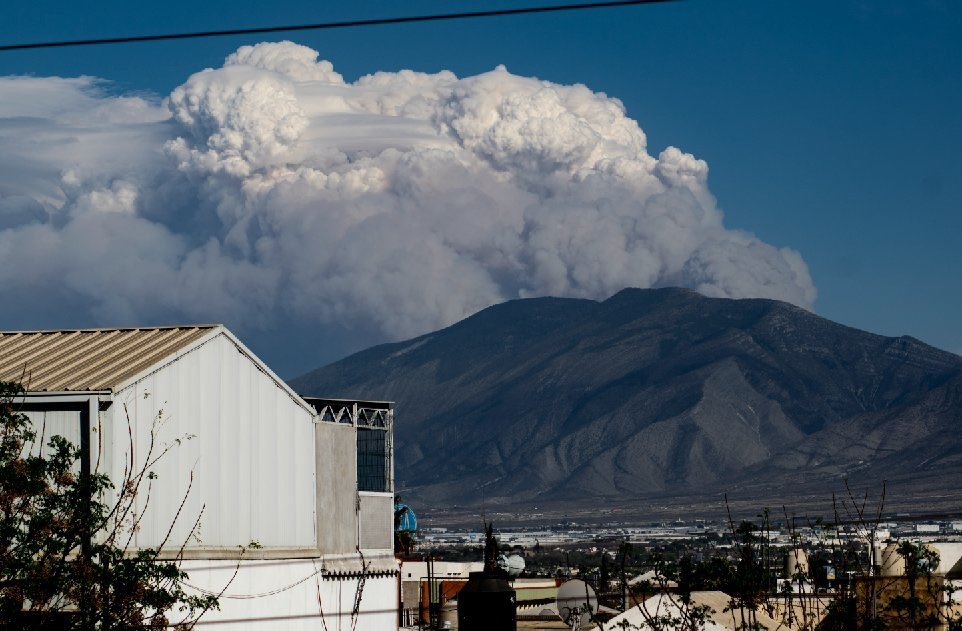Se registra incendio forestal en la sierra de Arteaga, Coahuila: FOTOS Y VIDEOS