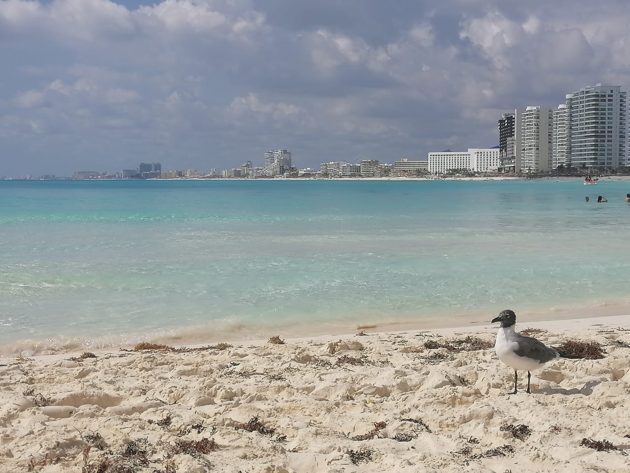 ¡En el mar la vida es más sabrosa! Estas son todas las playas que hay en Cancún: Mapa