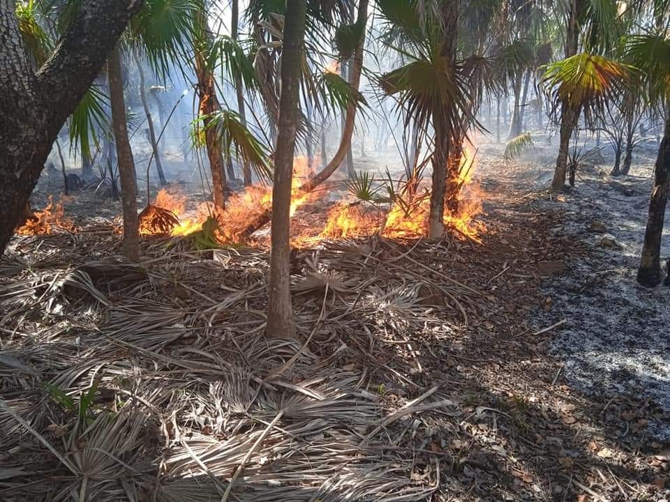 Se registra el primer incendio forestal de la Temporada 2021 en Isla Mujeres