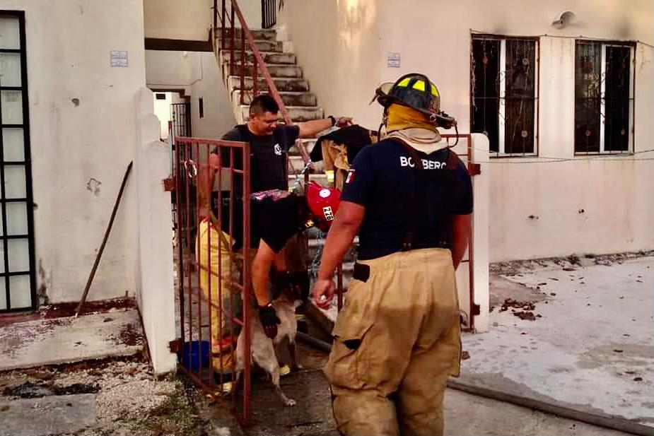 Perro muere calcinado en incendio de una vivienda en Playa del Carmen