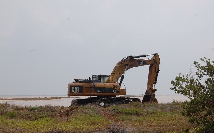 Invasores continúan dañando los manglares de la reserva de Río Lagartos