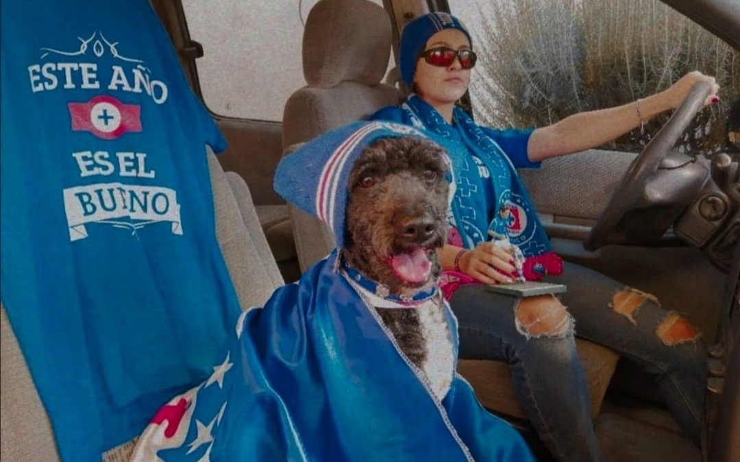 Aficionados del Cruz Azul se ilusionan y lanzan memes tras victoria