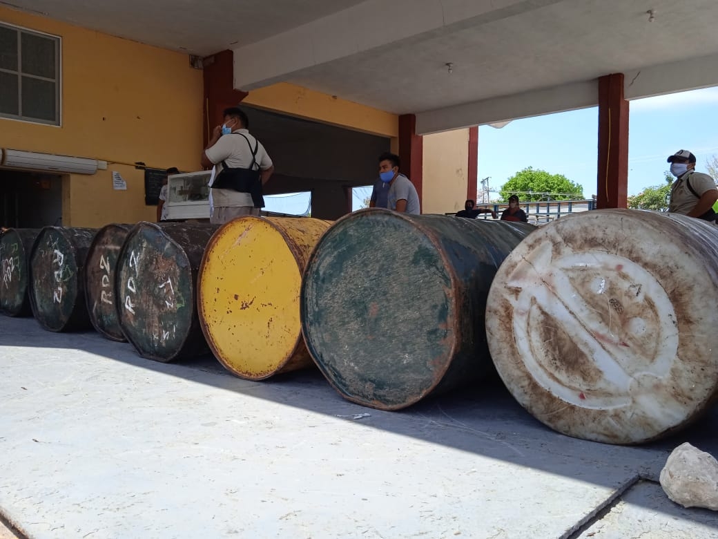 Apicultores de Campeche exportarán 4 mil toneladas de miel en 2021