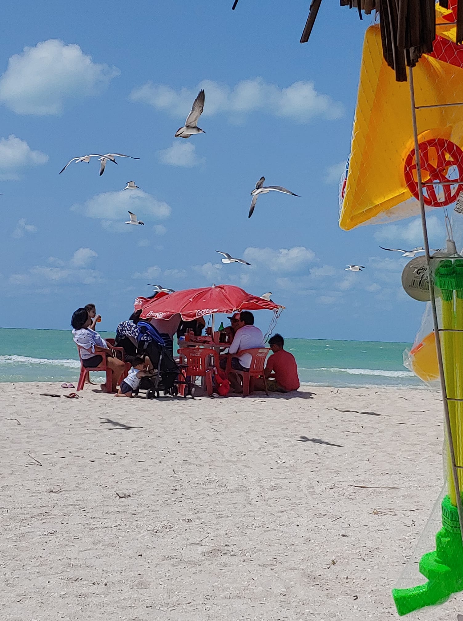 Playas de Celestún permanecerán abiertas durante Semana Santa