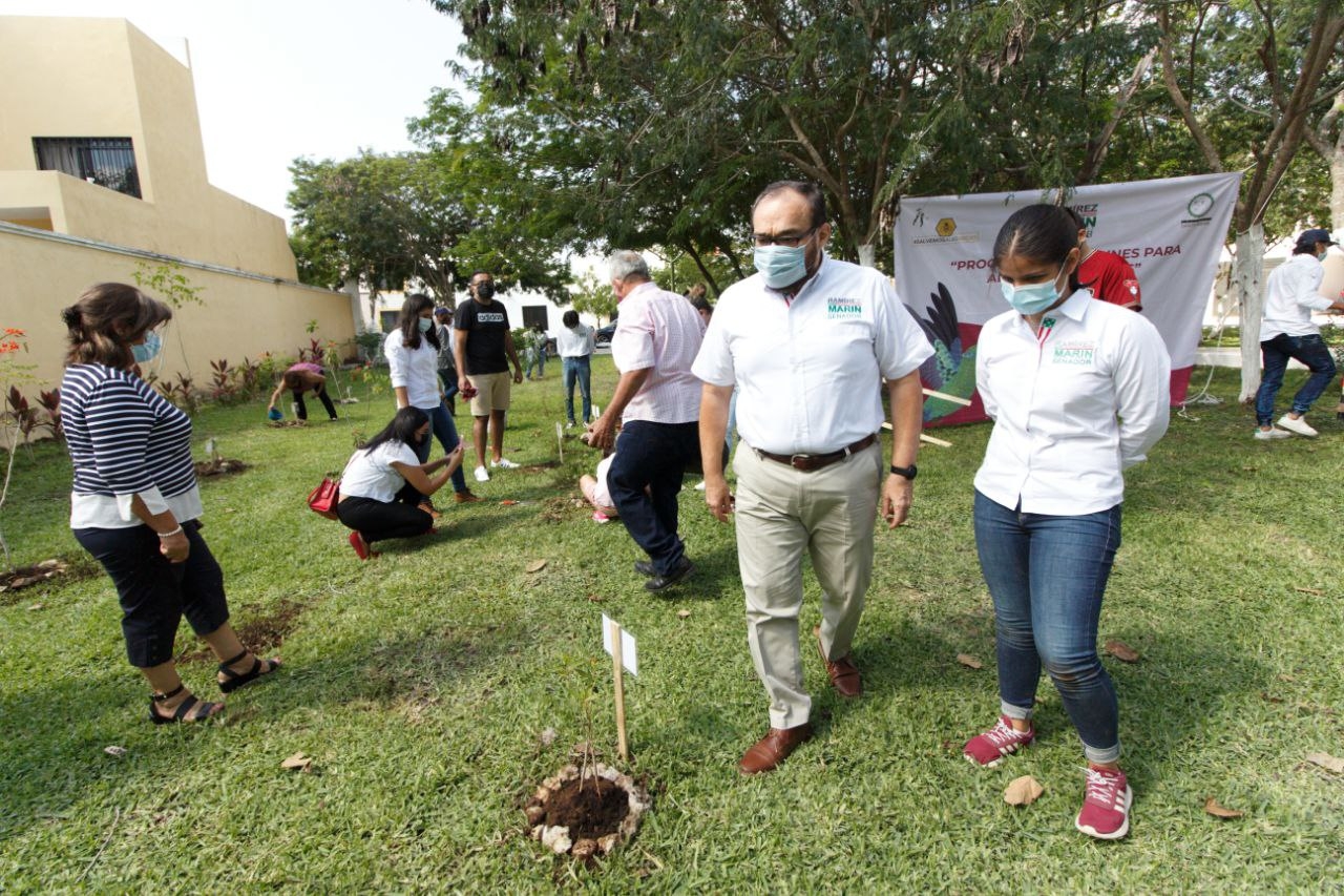 Ramírez Marín llama a cuidar el jardín urbano de polinizadores en Mérida
