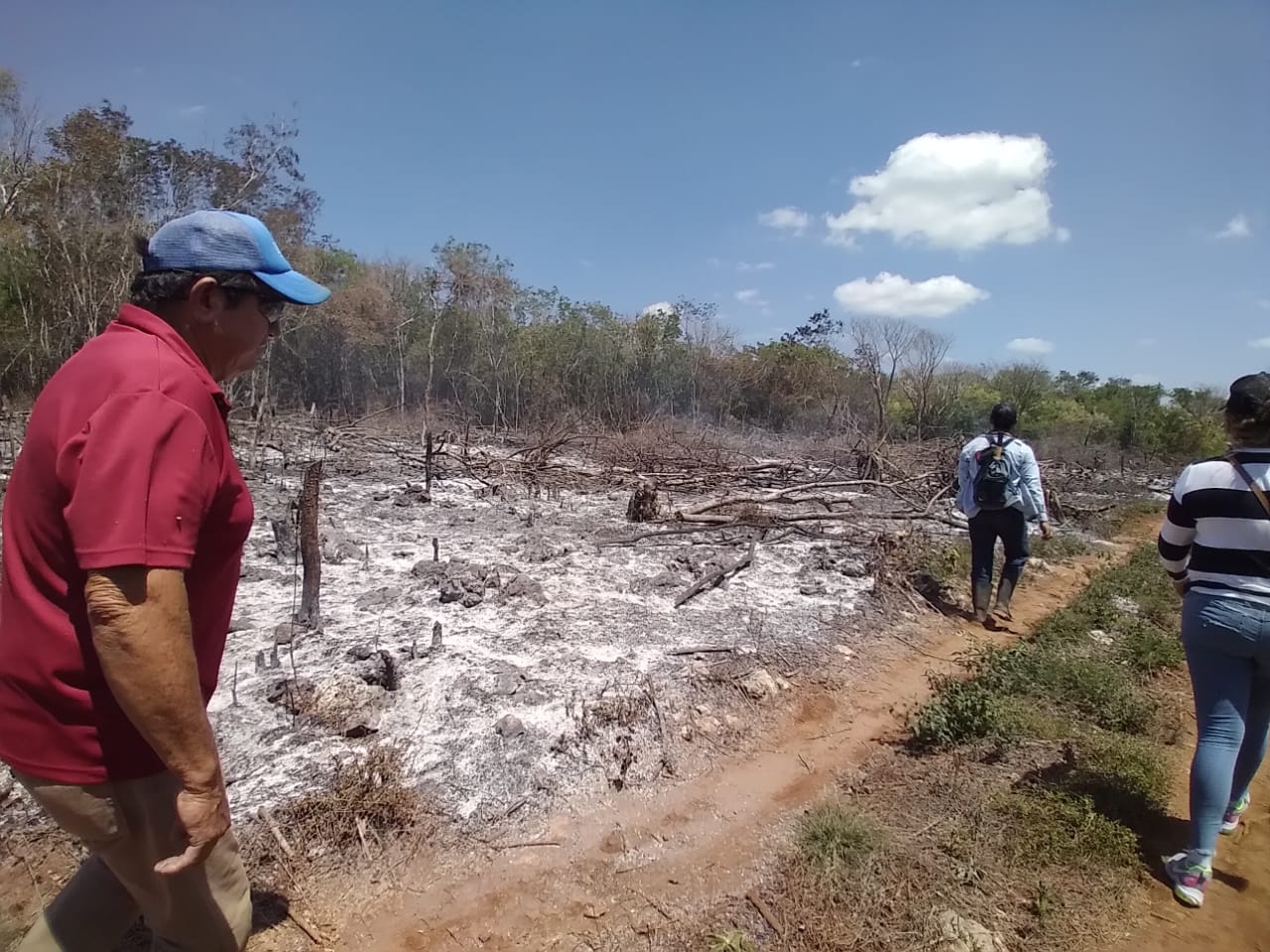 Denuncian destrucción de tierras por comisaria ejidal en Chocholá