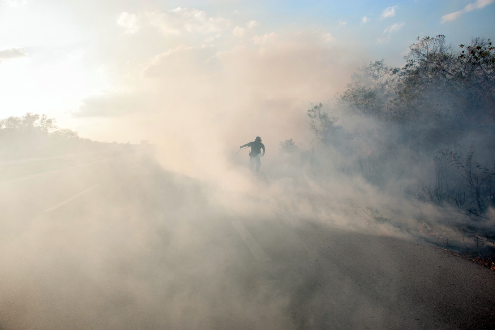 Yucatán registra 200 incendios forestales en lo que va del año: PROCIVY