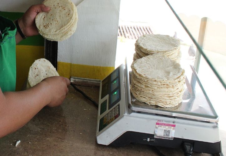 Kilo de tortilla podría llegar a costar hasta 25 pesos en Quintana Roo