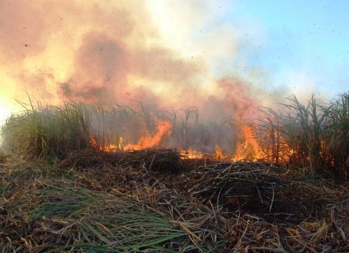 Piden a agricultores moderar la quema de tierras en Ciudad del Carmen