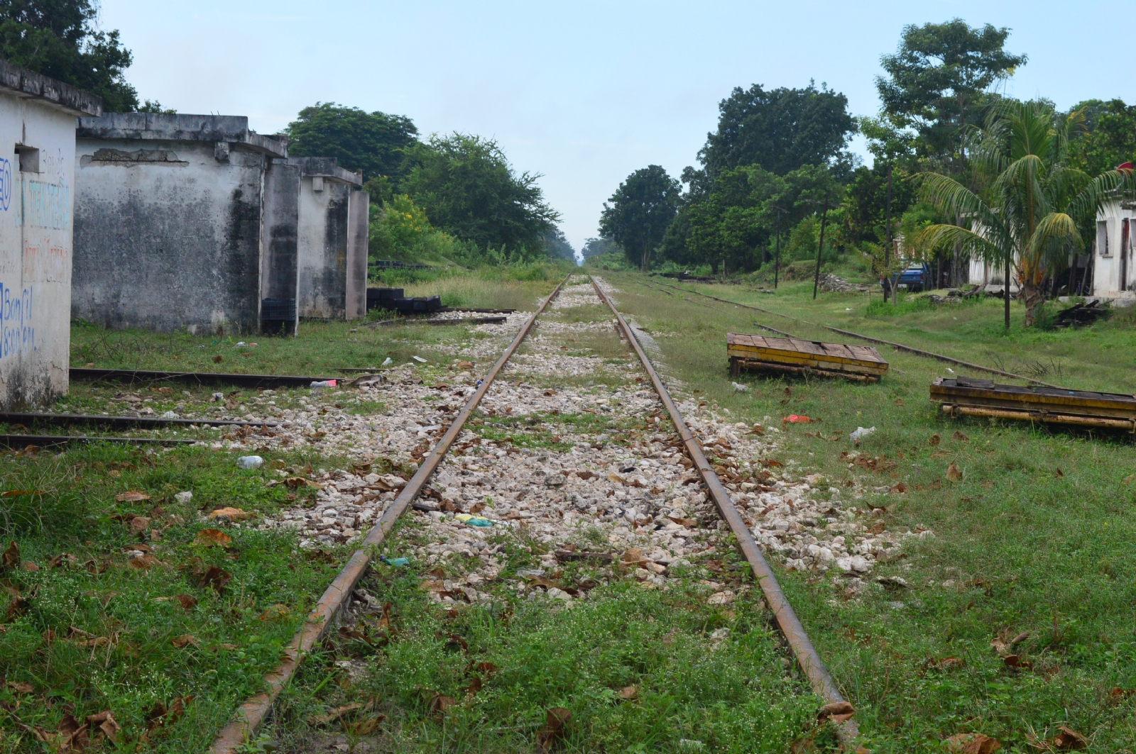 Enlace del Tren Maya en Campeche desconoce amparo contra la obra