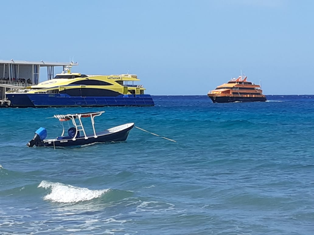 Cancelaciones de cruces marítimos a Playa del Carmen dejan a turistas varados