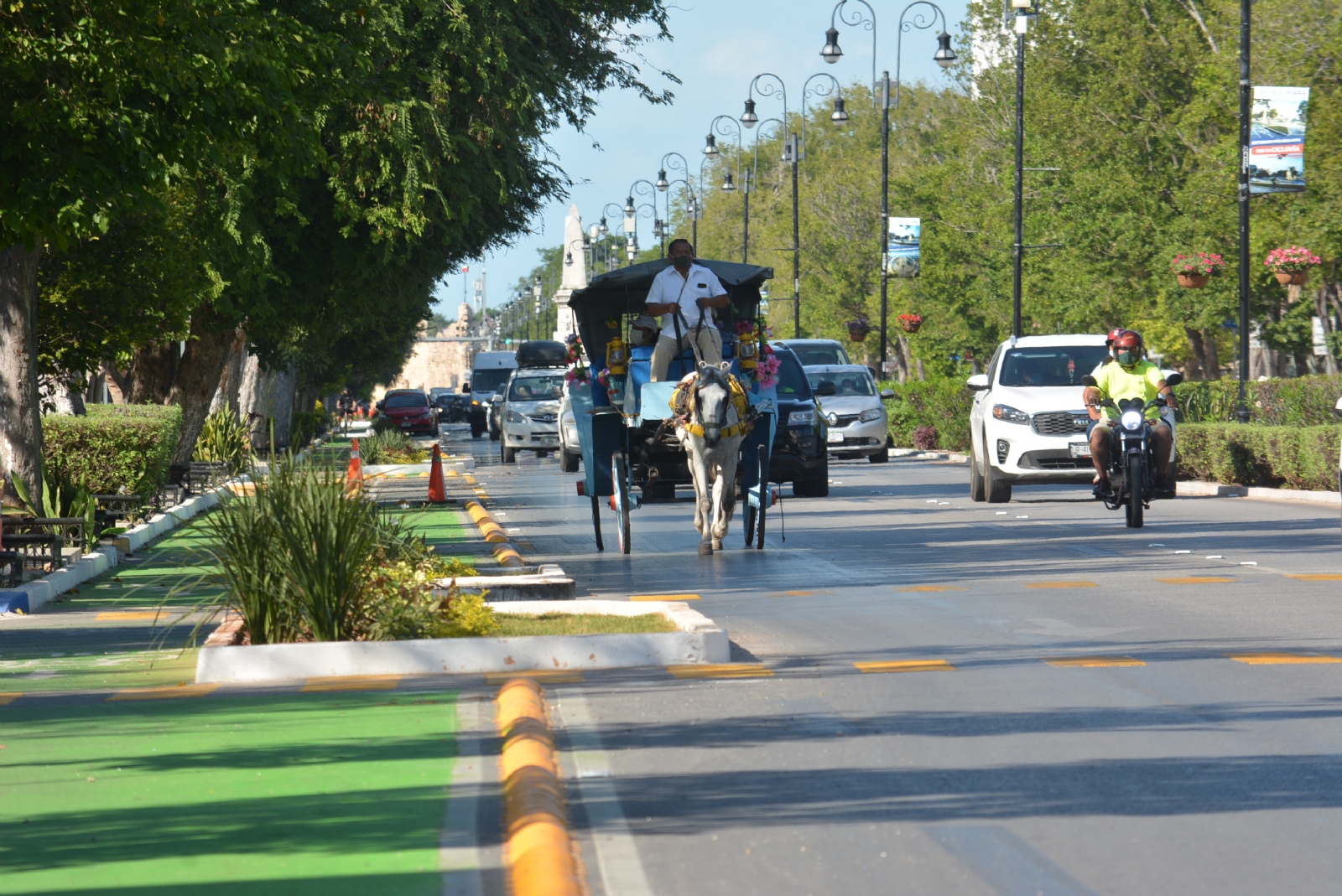 Maceteros y ciclovías, un problema para las calesas en Mérida