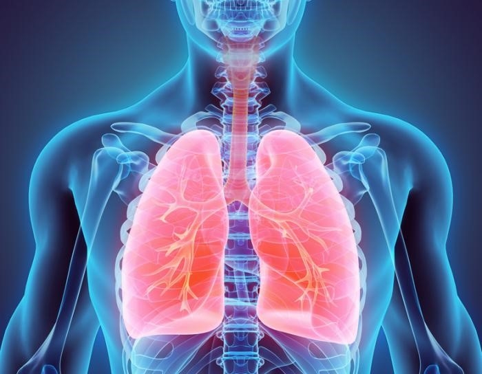 La tuberculosis afecta el sistema respiratorio