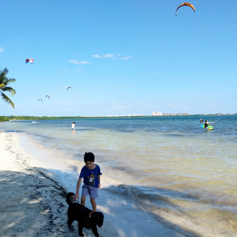 Playa Coral de Cancún: Un lugar ideal para llevar a tu mascota