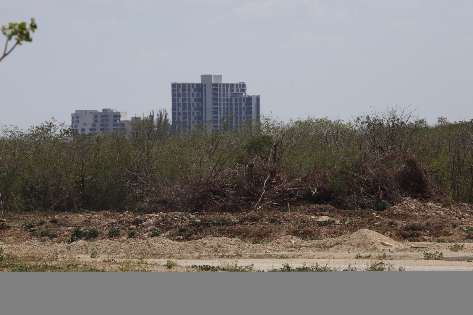 Buscan evitar despojo de tierras por el 'monstruo' inmobiliario de Mérida