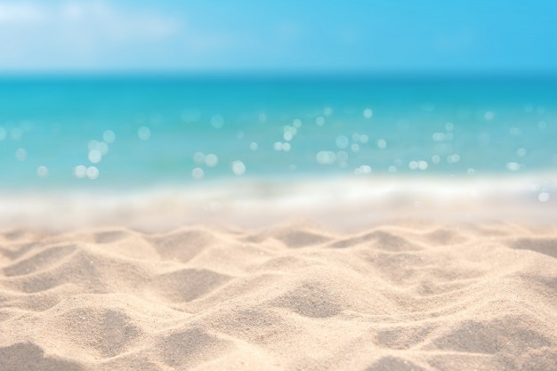 La arena blanca de Cancún es única en el mundo gracias a un pez