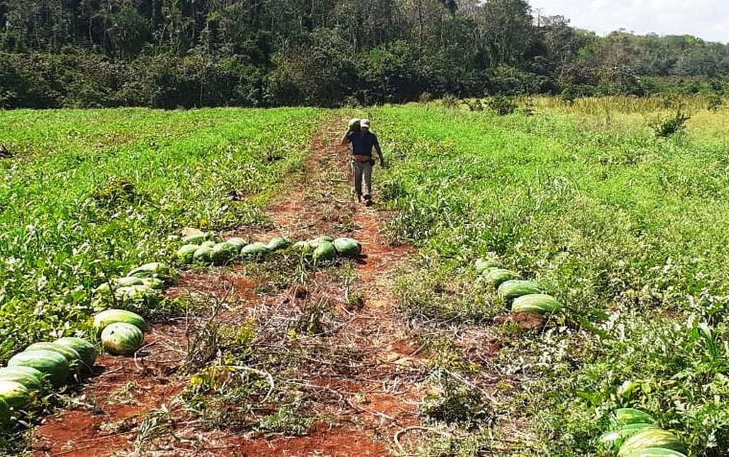 Quintana Roo presentó afectaciones por la sequía en la mayoría de su territorio, y que podría dejar a la Entidad en el estatus de 'moderada' en el monitor de la Conagua